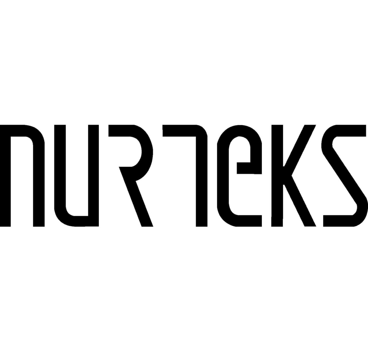 nurteks logo disi2